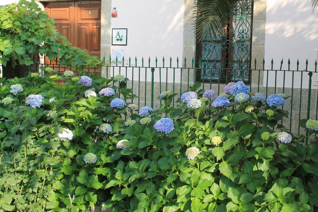 Apartamento Casa Jardín de la Plata Banos De Montemayor Exterior foto